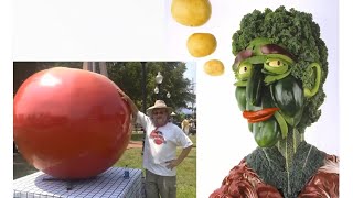 Tomato Abiotic Disorders: Identification and & Control
