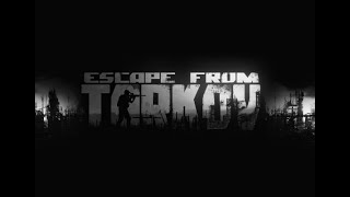 Escape from Tarkov death compilation