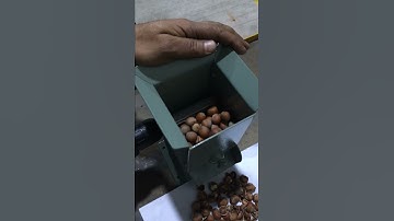 Drill powered nut cracker