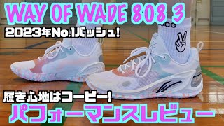 【バッシュ】2023年No.1バッシュ！Way of Wade 808 3 パフォーマンスレビュー