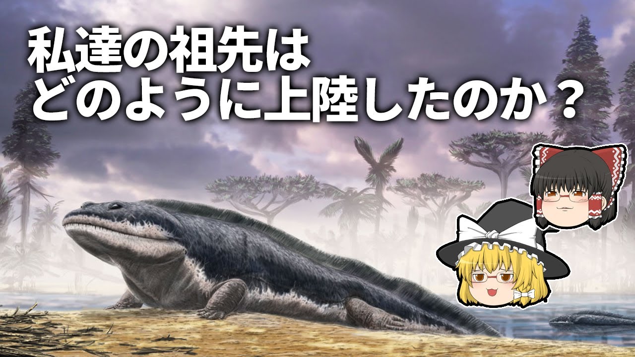 【ゆっくり解説】魚が陸に上がるまで　イクチオステガなど