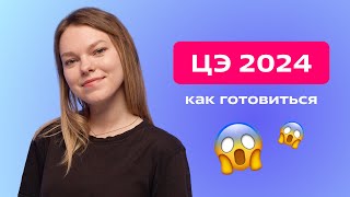 Подготовка к ЦЭ 2024. Книги, планы, новые задания