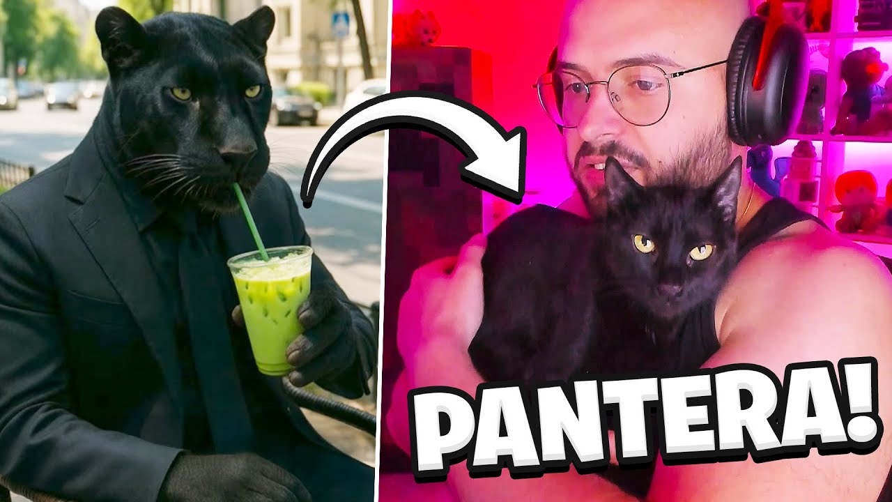 Am gasit PANTERA PIERDUTA in ROMANIA??? (reactie MEME-URI)