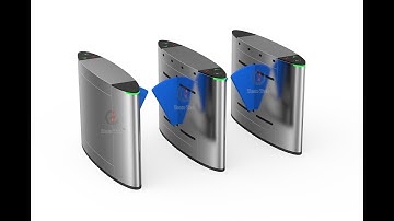 High-end Fashion Flap Barrier Gate With RFID Card For Sale Factory--Zento