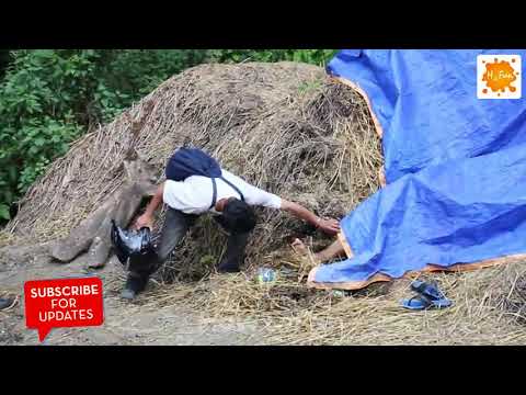 Funny Sex Scary Prank 2020 New Funny Video 100 Funny Funny Latest