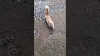 Feel Safe And Comfortable When The Baby Grows Up And Obeys The Rules