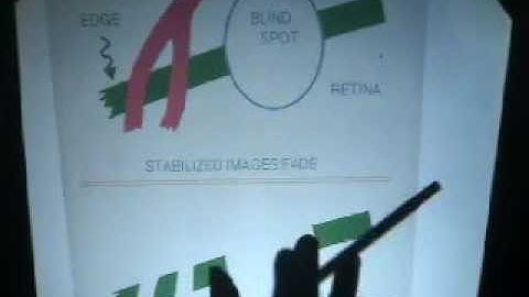 LINKING MIND TO BRAIN: A tutorial Lecture Series. Third Lecture, Part 1.