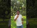 জীবনে কখনো কাউকে অবহেলা করবেন না...#mango #shorts #রঙমিস্ত্রি #viralreelsシ
