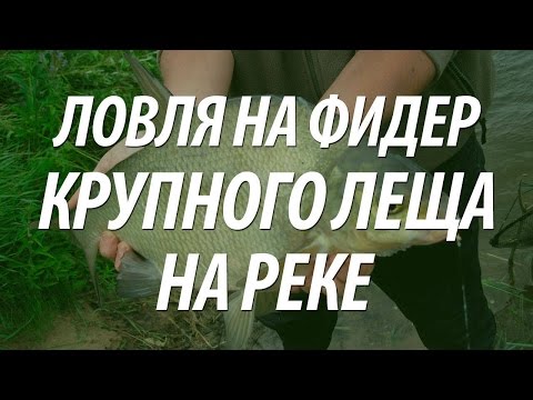 рыбалка речной лещ