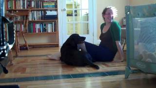 VID00136.MP4