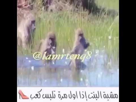 تلبس كعب تلبس ضيق