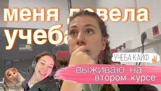 видео: ВЛОГ: первый месяц учебы на ВТОРОМ курсе | что меня ждет? картинка: ВЛОГ: первый месяц учебы на ВТОРОМ курсе | что меня ждет?