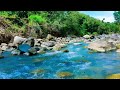 Relaxing River Flow Live 24/7 – Gentle Water Sounds &amp; Green Noise for Better Sleep and Focus