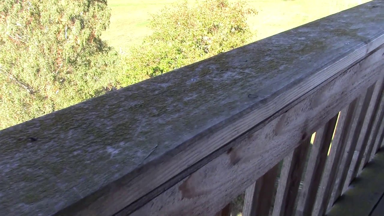 Canon LEGRIA HF R606 test