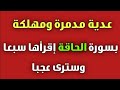 عدية مدمرة ومهلكة بسورة الحاقة إقرأها سبعا وسترى عجبا ش توفيق أبو الدهب عدية مدمرة ومهلكة بسورة الحاقة إقرأها سبعا وسترى عجبا ش توفيق أبو الدهب