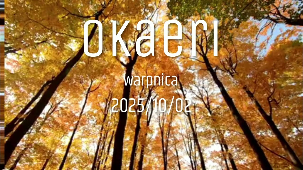 warpnica - おかえり