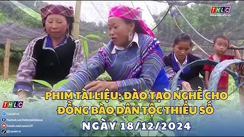 Phim tài liệu: Đào tạo nghề cho đồng bào dân tộc thiểu số (19/12/2024) | THLC