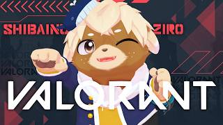【VALORANT】めざせダイヤ！土曜日のソロコンペ【志波犬ぢろ / Shibainu Ziro】