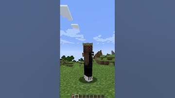 Minecraft cool command part 2