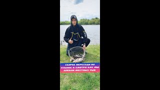 Рыбалка на Нижней Москва реке. Рыбачим на фидер весной #fishing #feeder #рыбалка