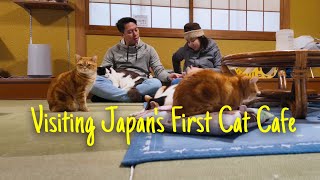 Back in Japan: Visiting their first #Cat Cafe and Feeding the Nara Deers!