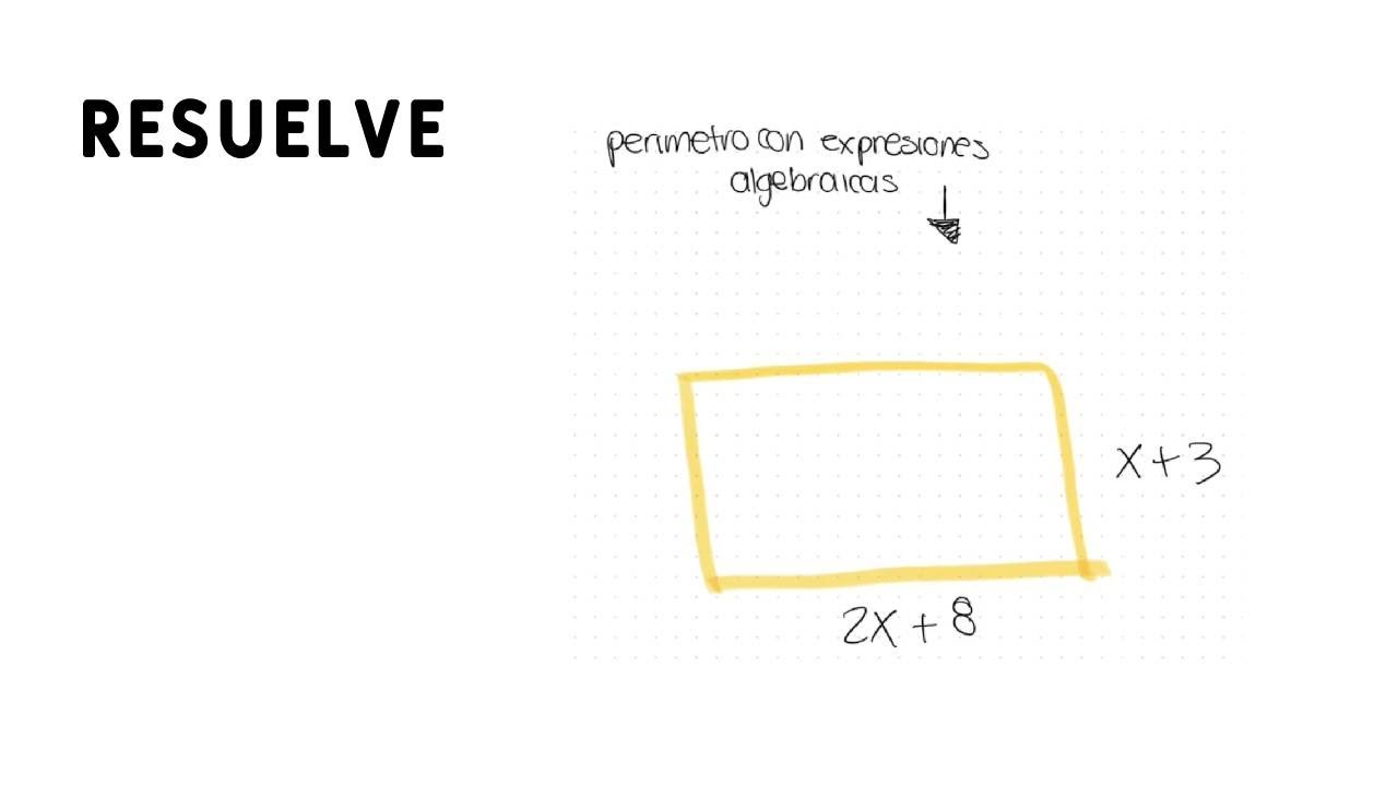 Expresiones Algebraicas Perimetro De Un Rectangulo www.youtube.com
