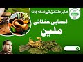 Herbal Formula Of Hakeem Sabir Multani اعصابی عضلاتی ملین Uzlatiasabi Herbal Formula Of Hakeem Sabir Multani اعصابی عضلاتی ملین Uzlatiasabi