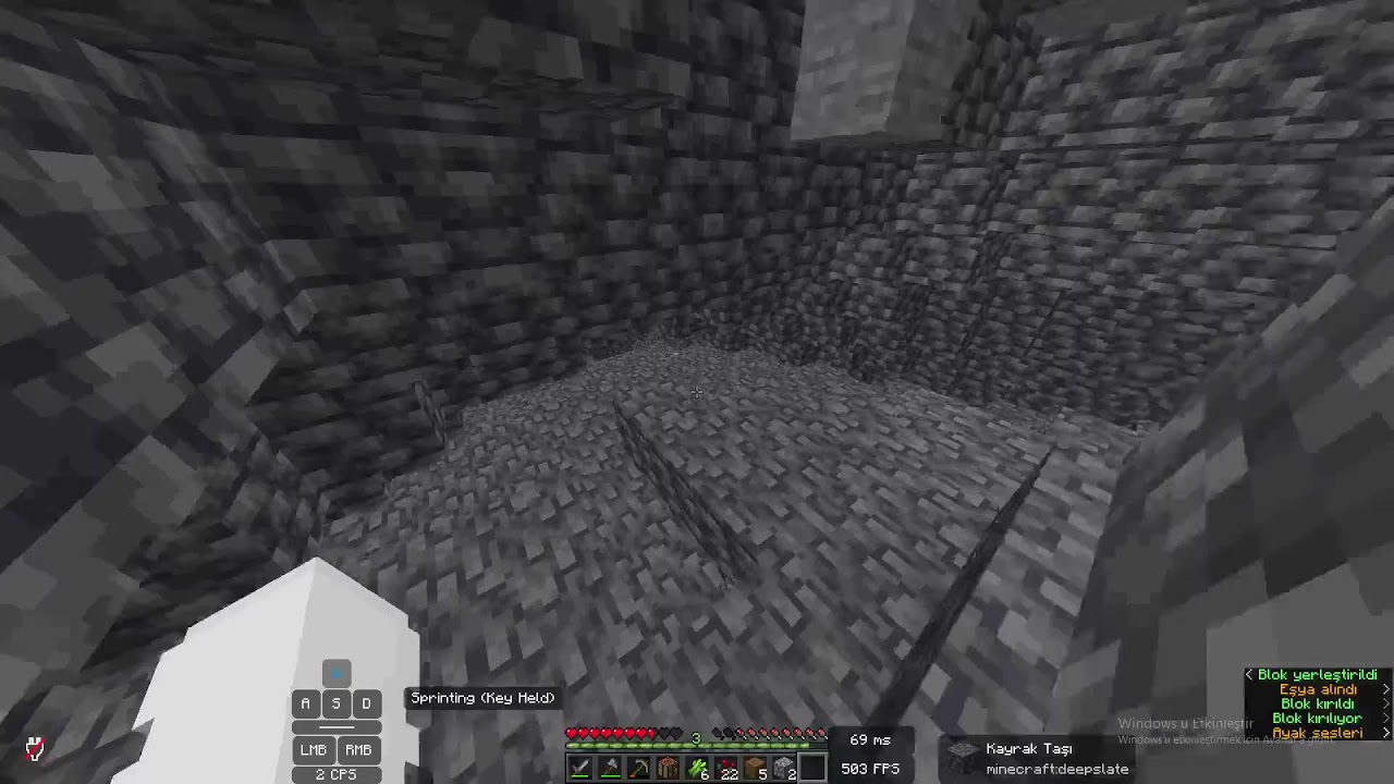 minecraft oynuyoz