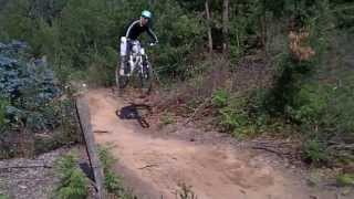 scott genius 40 2010