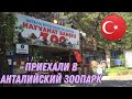 Анталийский Зоопарк/ТУРЦИЯ АНТАЛЬЯ 2022. Отличный зоопарк для отдыха с детьми!!