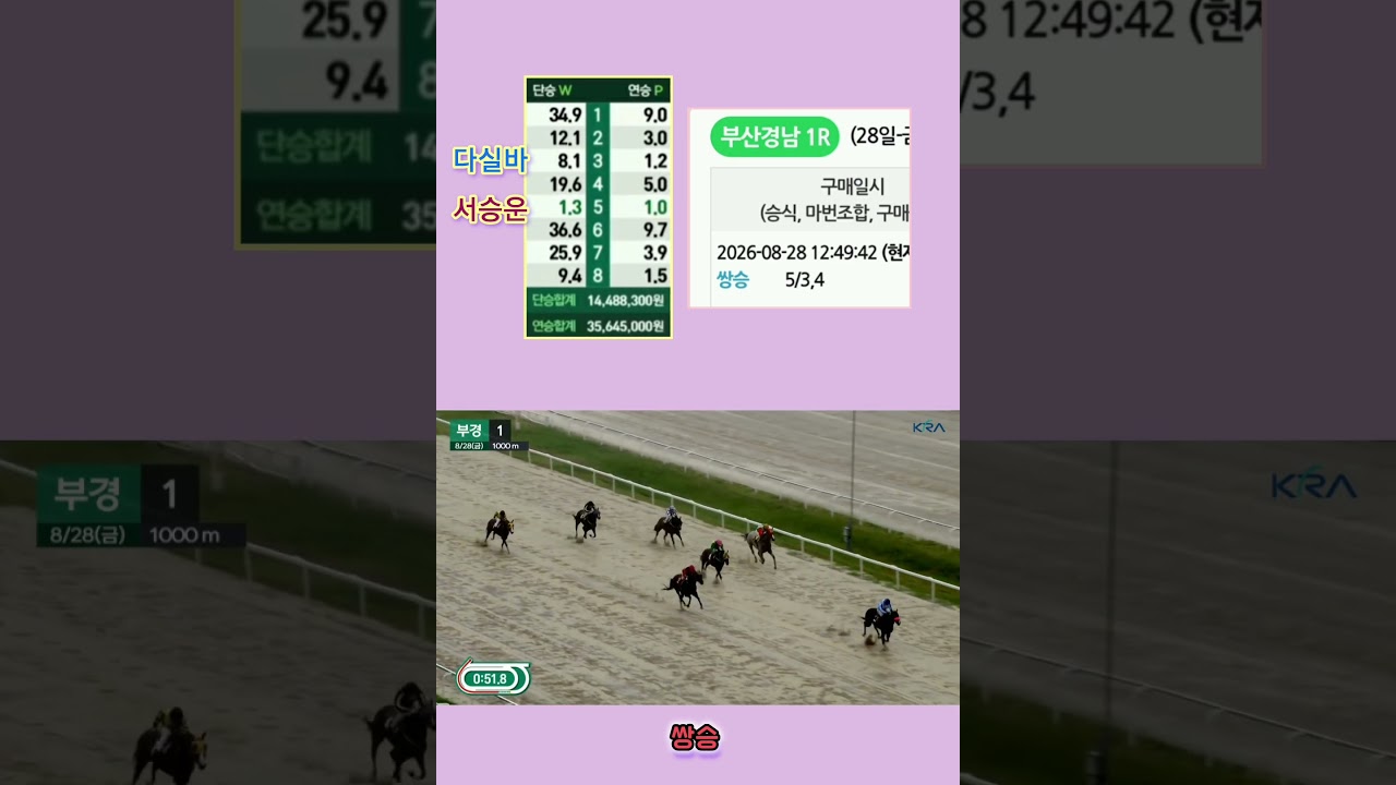 [경마] 배팅하면 안되는 경주 !