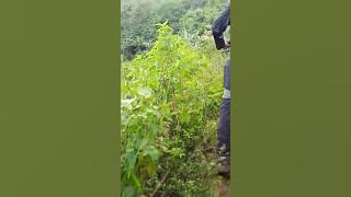 Trak menggoda penuh dengan leutak dan becek