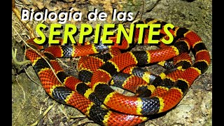 Biología de las serpientes