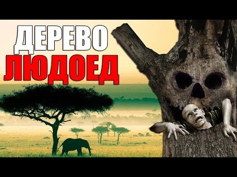 ДЕРЕВО ЛЮДОЕД ПОЖИРАЮЩЕЕ ЛЮДЕЙ