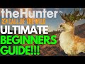 Beginner's Guide 2024 | theHunter Call of the Wild 🦌