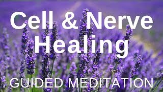 Guided HEAL Meditation  Cell and Nerve Healing (Self Healing Meditation)