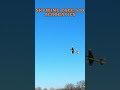 Skywing Edge 540 Aerobatic fun