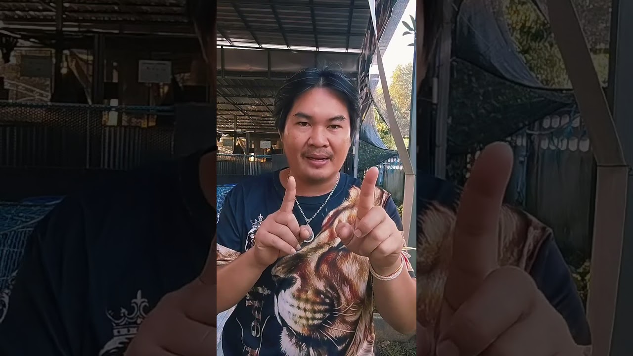 Ep2.มือใหม่นักพัฒาสายพันธุ์พม่า #บิ๊กแคนฟาร์ม