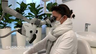 Endodontie - Ad Dento Innovatives Zahnarzt-Zentrum & Gesichtsschönheit-Chirurgie In Meerbusch