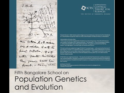 Evolution of Cellular Complexity (Lecture 3) by Michael Lynch