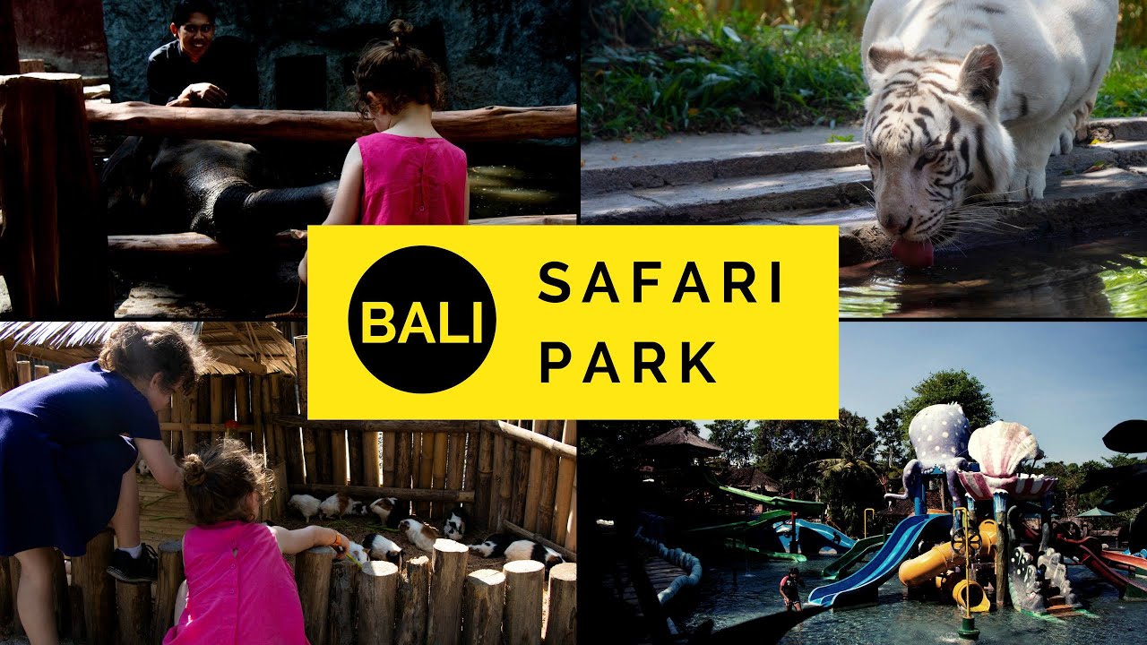 Why Does Wildlife Matters? - Taman Safari Bali