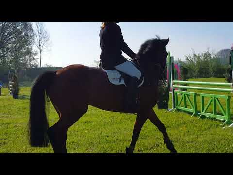 Jazzlyn WP v Emerald vh Ruytershof