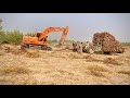 Excavator Loading Heavy Wood | Tractor Trolley Full of Timber in the Field