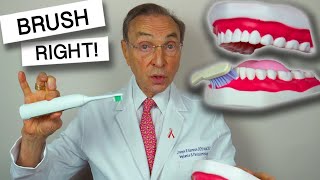How To Properly Brush Your Teeth (The RIGHT Way!)