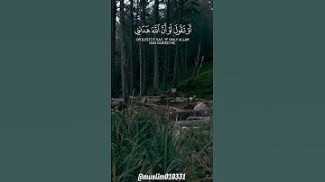 سورة الزمر، من الآية 56، القارئ ياسر الدوسري