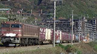 4092レ　EF81-124牽引(2009-12-20)