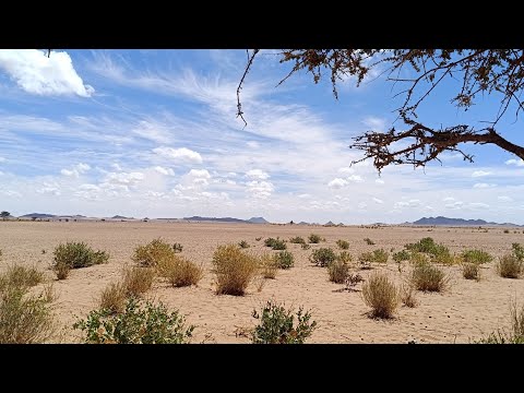شريط النسيم ديمي وسدوم