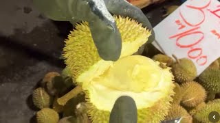Durian Murah tapi Lunak Hanya di Kuching