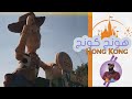 هذا ماشاهدت في هونغ كونغ عجيييبة || Hong Kong Tourist