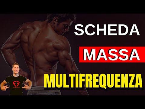 Scheda Massa Muscolare